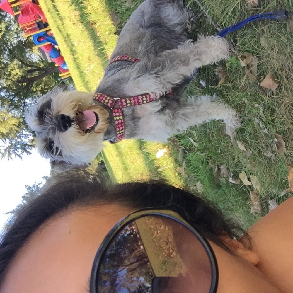 Meet your Posher, Andy